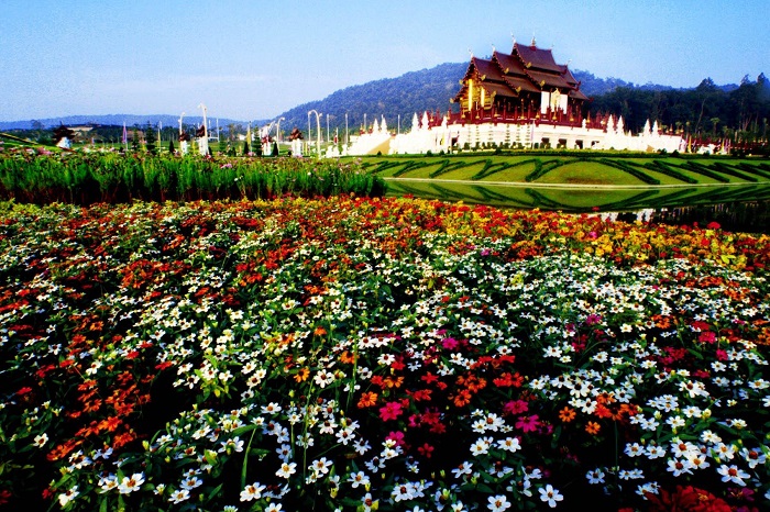 ve may bay di chiang mai