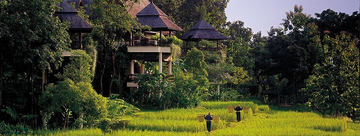 ve may bay di chiang mai