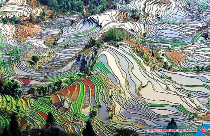 Khu ruộng bậc thang hút khách ở tỉnh Vân Nam, Trung Quốc