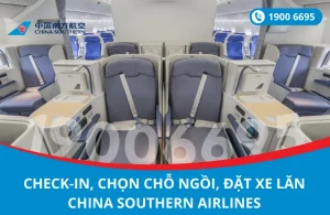 Dịch vụ check-in, chọn chỗ ngồi, đặt xe lăn China Southern đi Trung Quốc