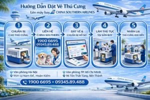 Dịch vụ đặt vé máy bay cho thú cưng chó mèo China Southern Airlines